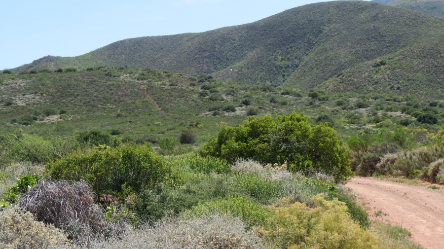 Commercial Property for Sale in Robertson Rural Western Cape